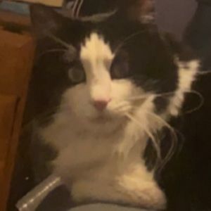 Meet your Posher, Skylar